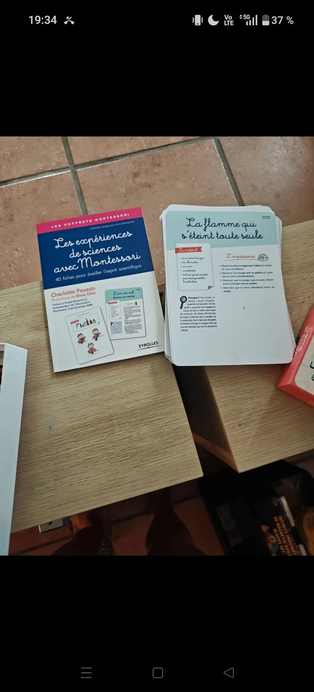Experiência Montessori – photo 6